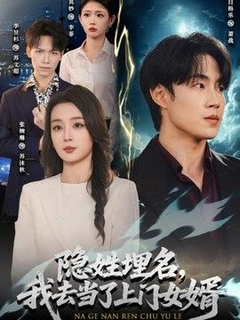 隱姓埋名，我去當了上門女婿海報